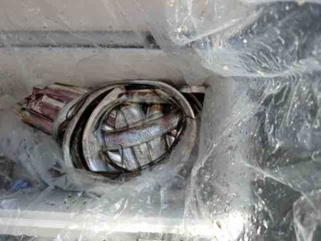 遊漁船 セトマリン 釣果