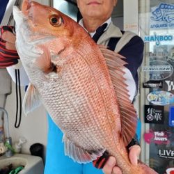 遊漁船 ニライカナイ 釣果