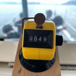 Magic(マジック) 釣果