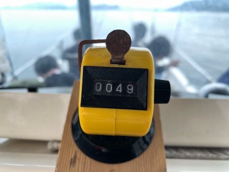 Magic(マジック) 釣果