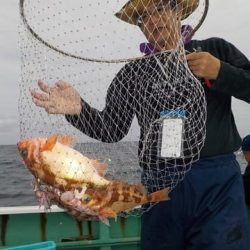 第二むつ漁丸 釣果