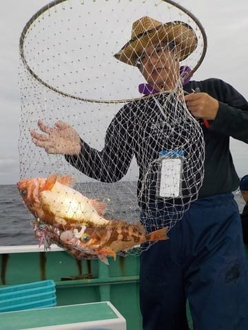 第二むつ漁丸 釣果