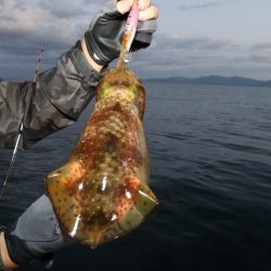 まるいち丸 ZERO-1 釣果