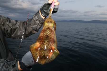 まるいち丸 ZERO-1 釣果