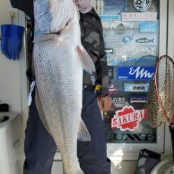 遊漁船 ニライカナイ 釣果