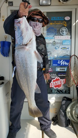 遊漁船 ニライカナイ 釣果