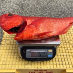 番匠高宮丸 釣果