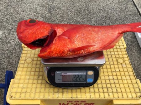 番匠高宮丸 釣果