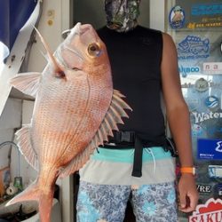 遊漁船 ニライカナイ 釣果