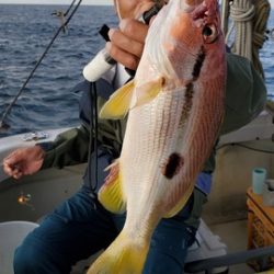 遊漁船 ニライカナイ 釣果