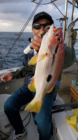 遊漁船 ニライカナイ 釣果