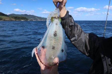 まるいち丸 ZERO-1 釣果