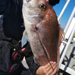 遊漁船 新鋭丸 釣果