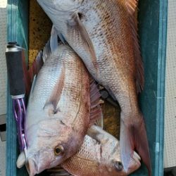 遊漁船 ニライカナイ 釣果