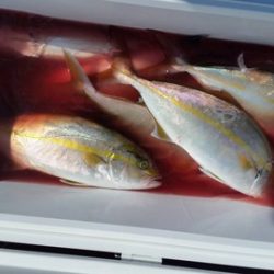 第五慶門丸 釣果