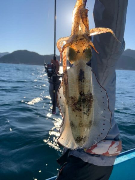 宝昌丸 釣果