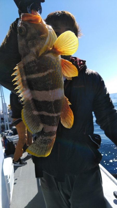 遊漁船 新鋭丸 釣果