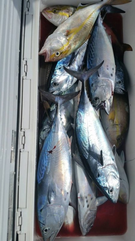 第五慶門丸 釣果