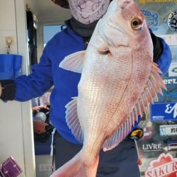 遊漁船 ニライカナイ 釣果