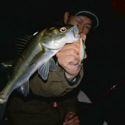 TOPGUN名古屋 釣果