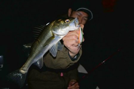 TOPGUN名古屋 釣果