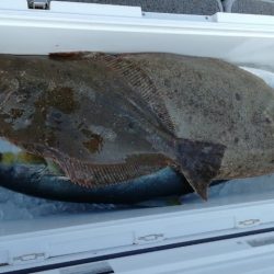 第二大福丸 釣果