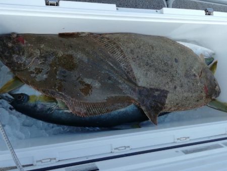 第二大福丸 釣果