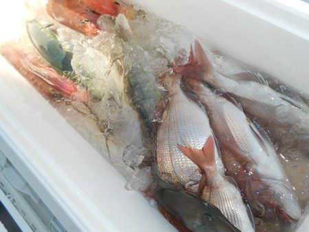 こうゆう丸 釣果