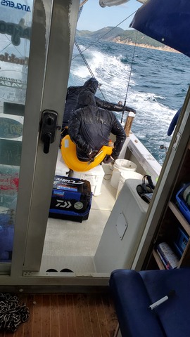 遊漁船 ニライカナイ 釣果