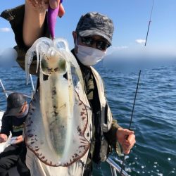 Magic（マジック） 釣果