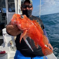 へいみつ丸 釣果