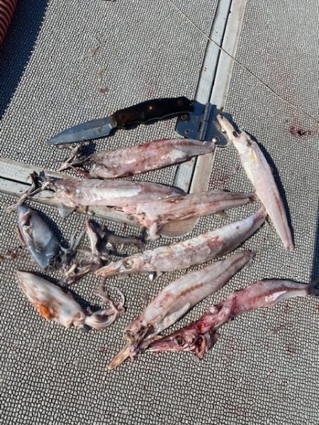 へいみつ丸 釣果