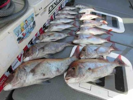 遊漁船 セトマリン 釣果