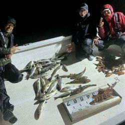 TOPGUN名古屋 釣果