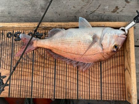 幸吉丸 釣果