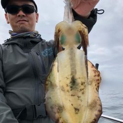 Magic（マジック） 釣果