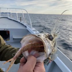 へいみつ丸 釣果