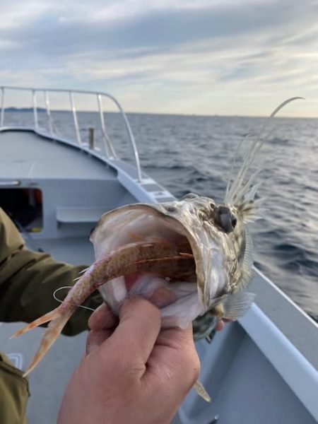 へいみつ丸 釣果