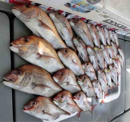 遊漁船 セトマリン 釣果