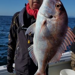遊漁船 ニライカナイ 釣果