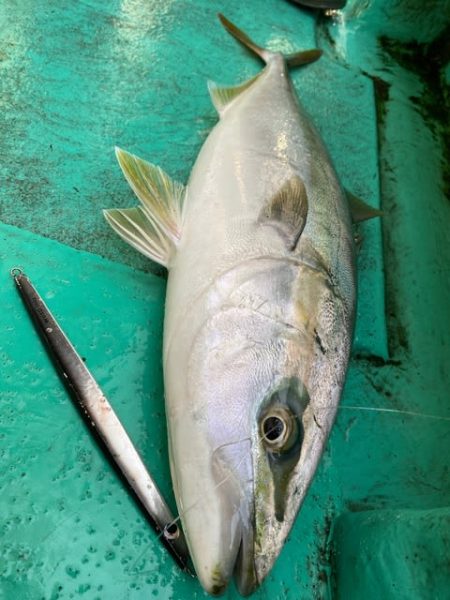 広進丸 釣果