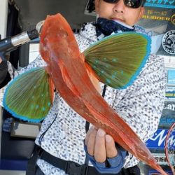 遊漁船 ニライカナイ 釣果