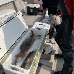 第八大安丸 釣果