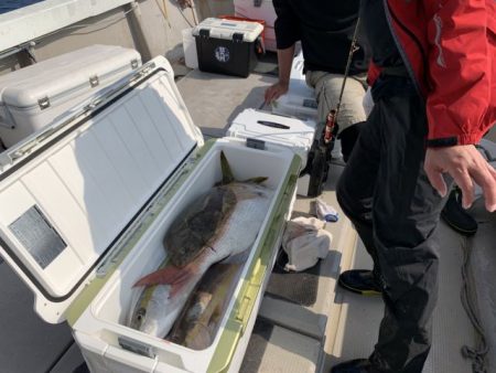 第八大安丸 釣果