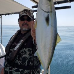 遊漁船 ニライカナイ 釣果