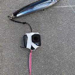 へいみつ丸 釣果