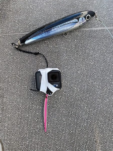 へいみつ丸 釣果