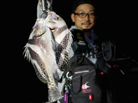 TOPGUN名古屋 釣果