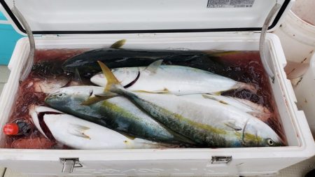 遊漁船 ニライカナイ 釣果