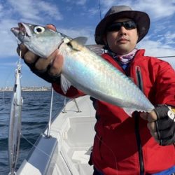 ミタチ丸 釣果